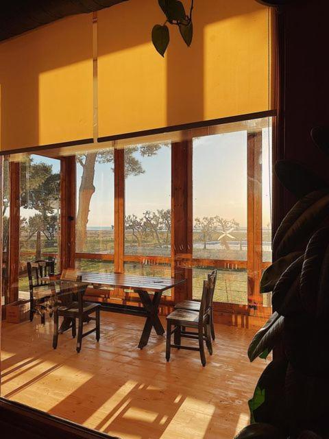 Divjaka Resort Resort