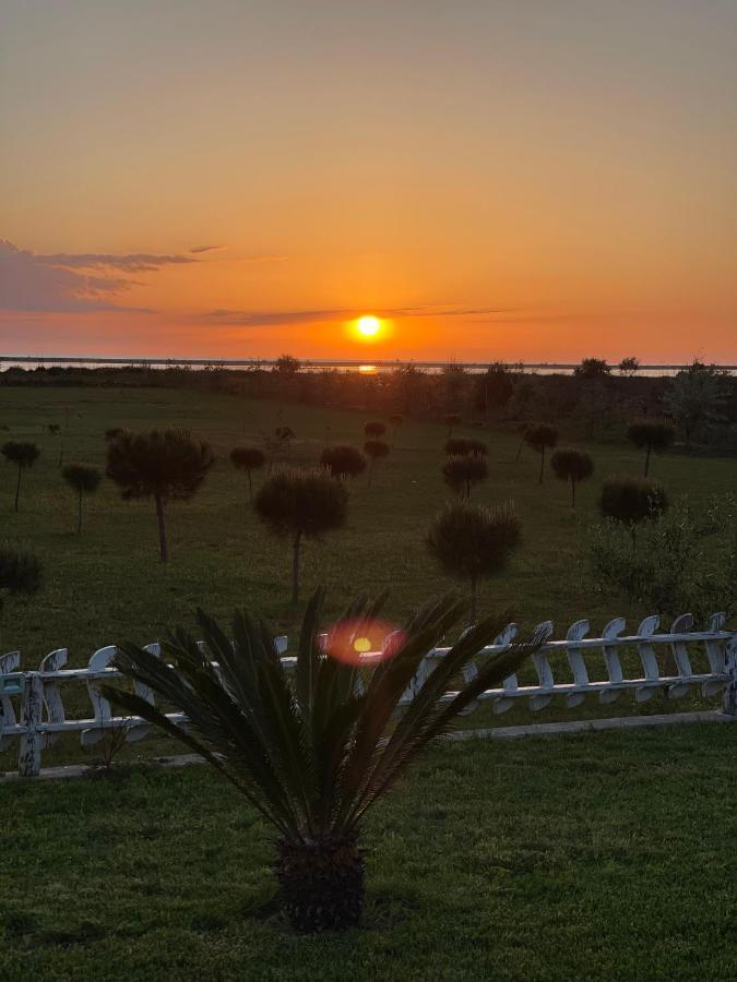 Divjaka Resort Resort