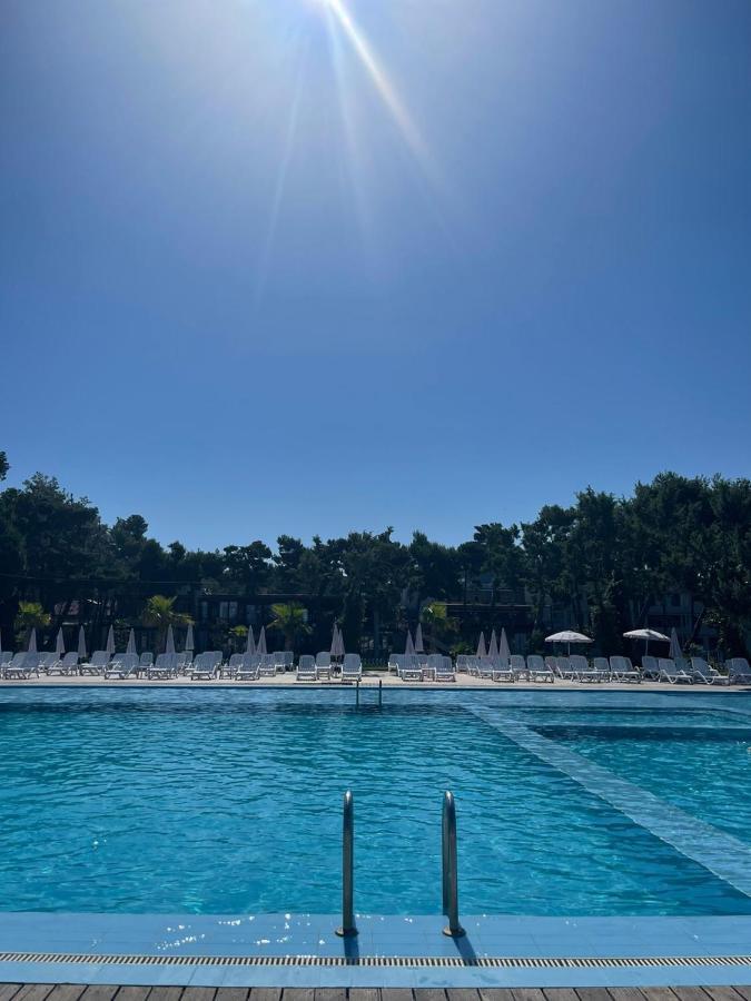 Resort Divjaka Resort Divjake