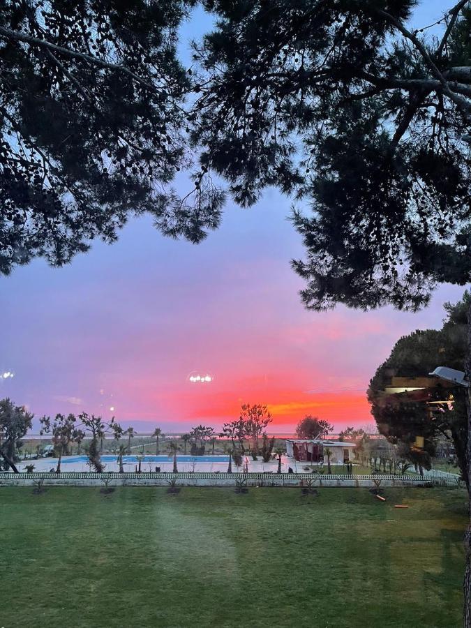 Divjaka Resort *