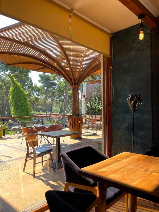 Divjaka Resort