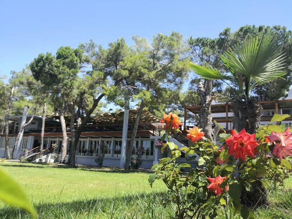 Divjaka Resort Resort Divjake